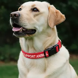 product photographer near Fort Lauderdale, Florida